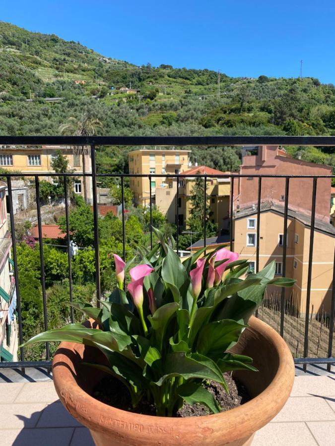 La Terrazza Di Monterosso Daire Monterosso al Mare Dış mekan fotoğraf