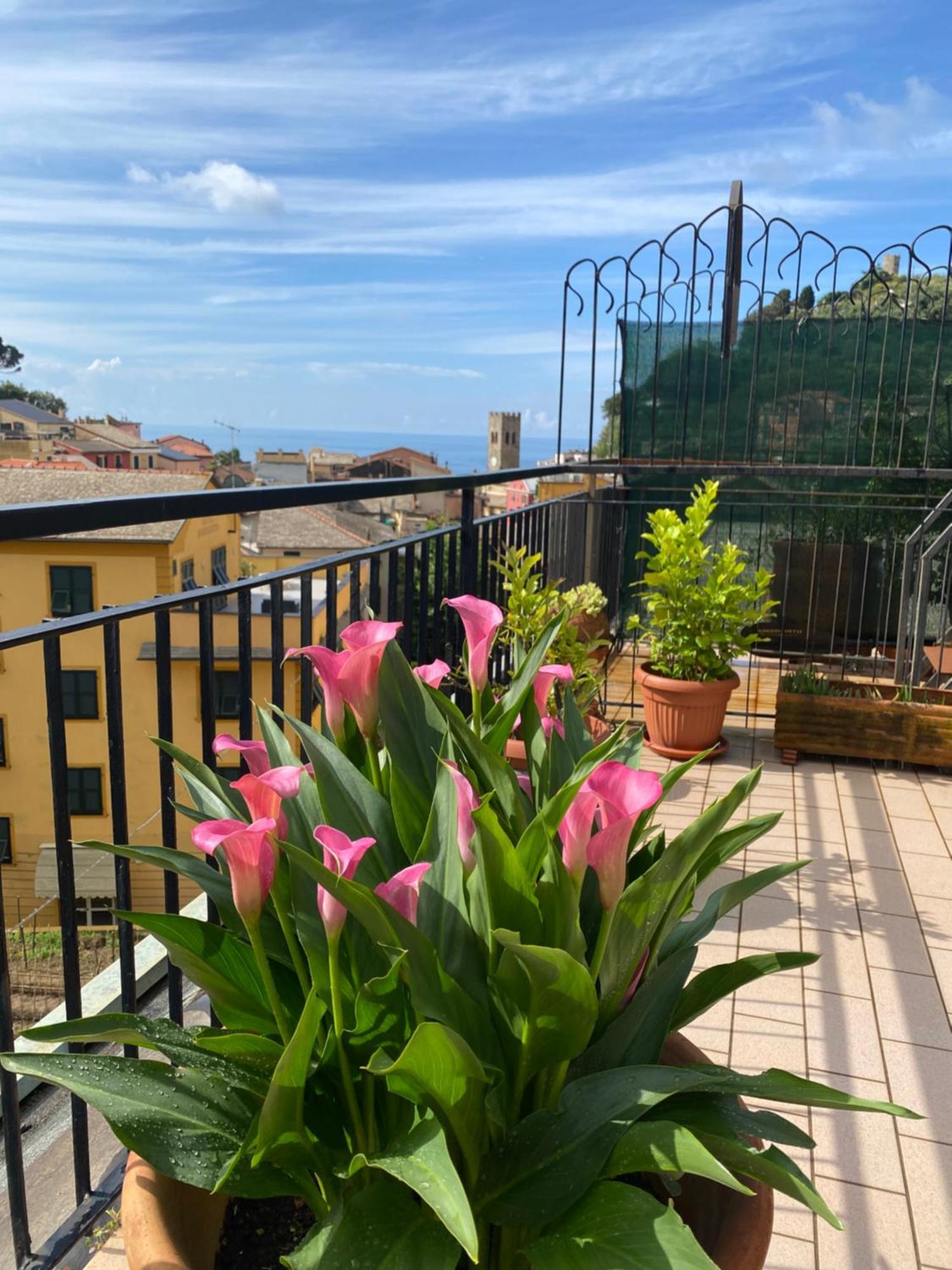 La Terrazza Di Monterosso Daire Monterosso al Mare Dış mekan fotoğraf