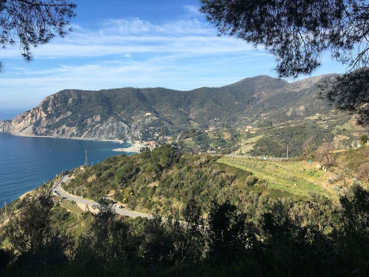 La Terrazza Di Monterosso Daire Monterosso al Mare Dış mekan fotoğraf