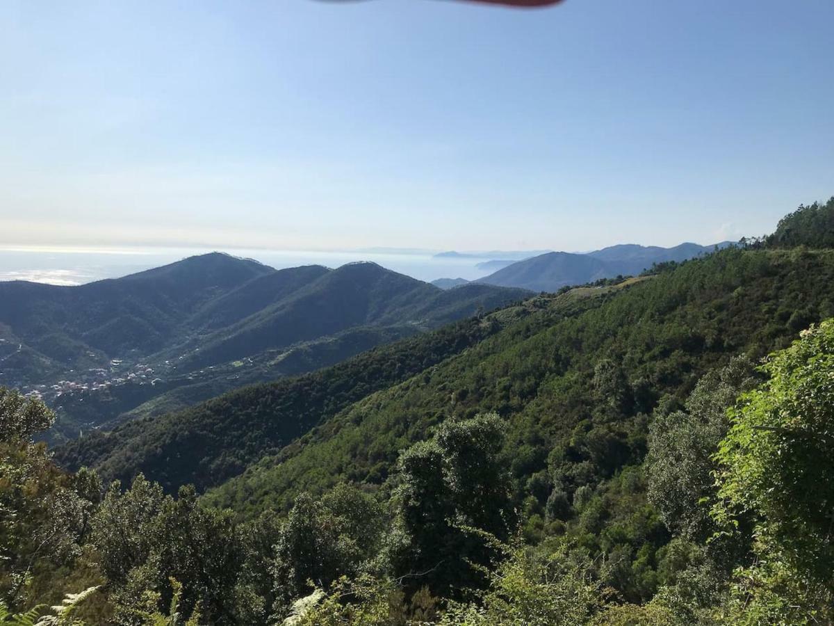 La Terrazza Di Monterosso Daire Monterosso al Mare Dış mekan fotoğraf